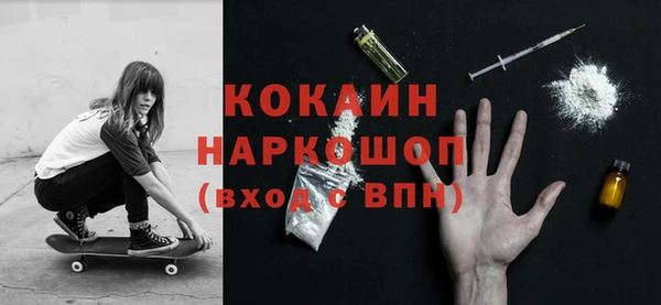 прущие крисы Бородино
