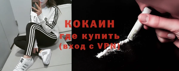 прущие крисы Бородино