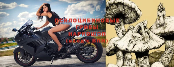 гашик Бронницы
