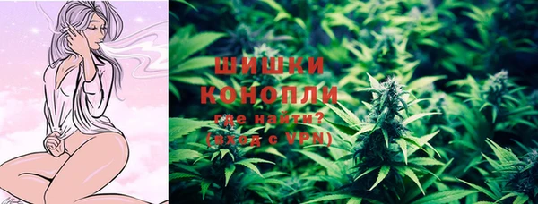 прущие крисы Бородино