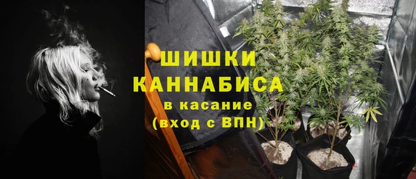 прущие крисы Бородино