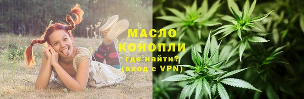 прущие крисы Бородино