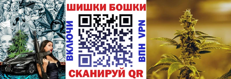 Купить  Аркадак  Канабис план 